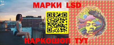 стафф Бугуруслан