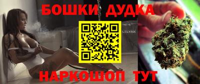 МДПВ Будённовск