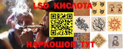 МДПВ Будённовск