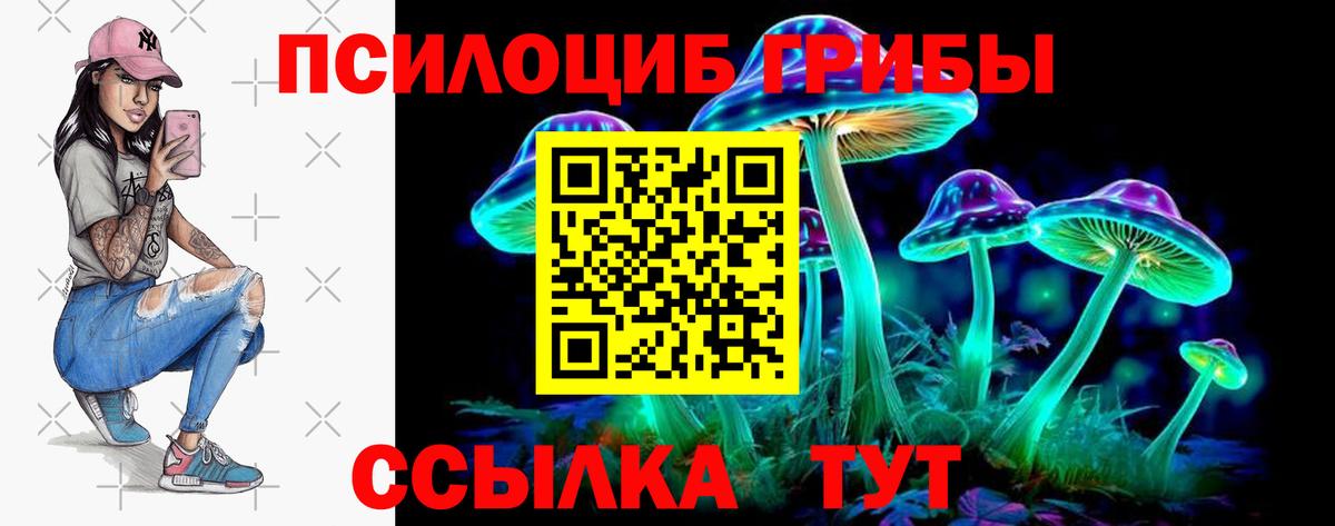 Галлюциногенные грибы Psilocybine cubensis Мценск