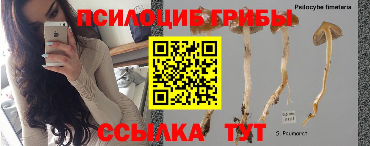 наркотики  Псилоцибиновые грибы мицелий  Мценск  Вход с VPN  Галлюциногенные грибы мухоморы 